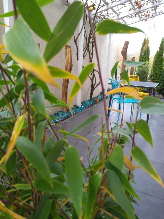 Art & Nature Apartments In Der Naehe Ffm-Messe Bad Vilbel Eksteriør bilde
