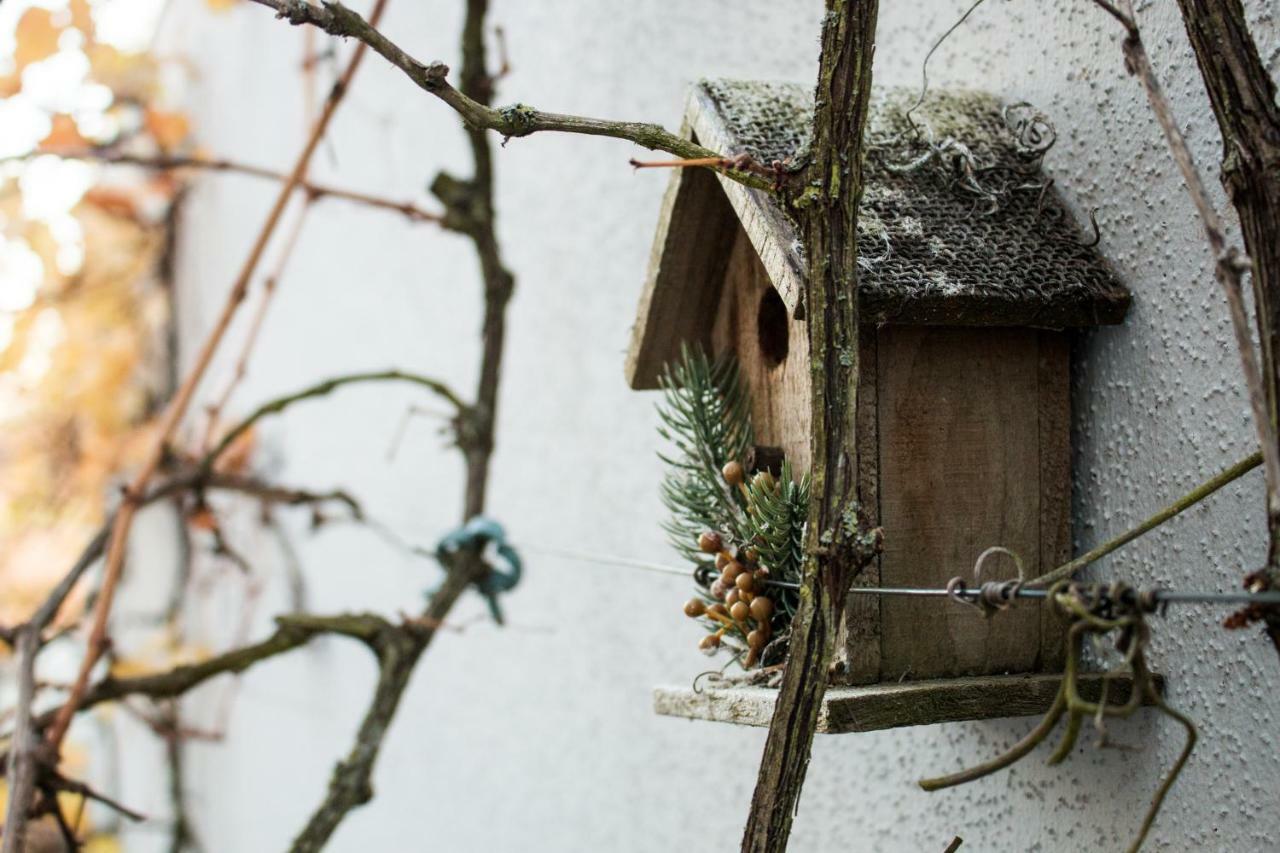 Art & Nature Apartments In Der Naehe Ffm-Messe Bad Vilbel Eksteriør bilde